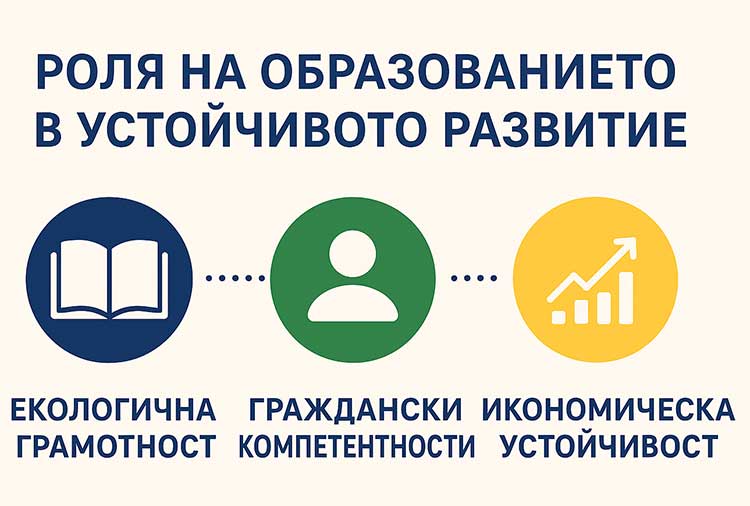 образование